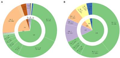 Genomic surveillance of SARS-CoV-2 in Weihai, China, march 2022 to march 2023